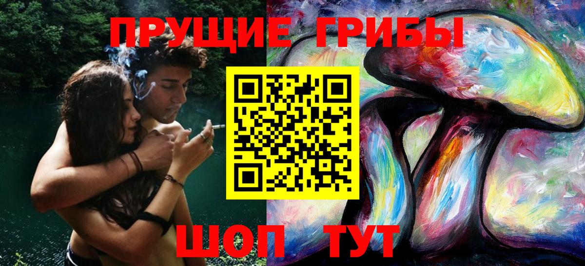 Псилоцибиновые грибы Psilocybe Красноярск