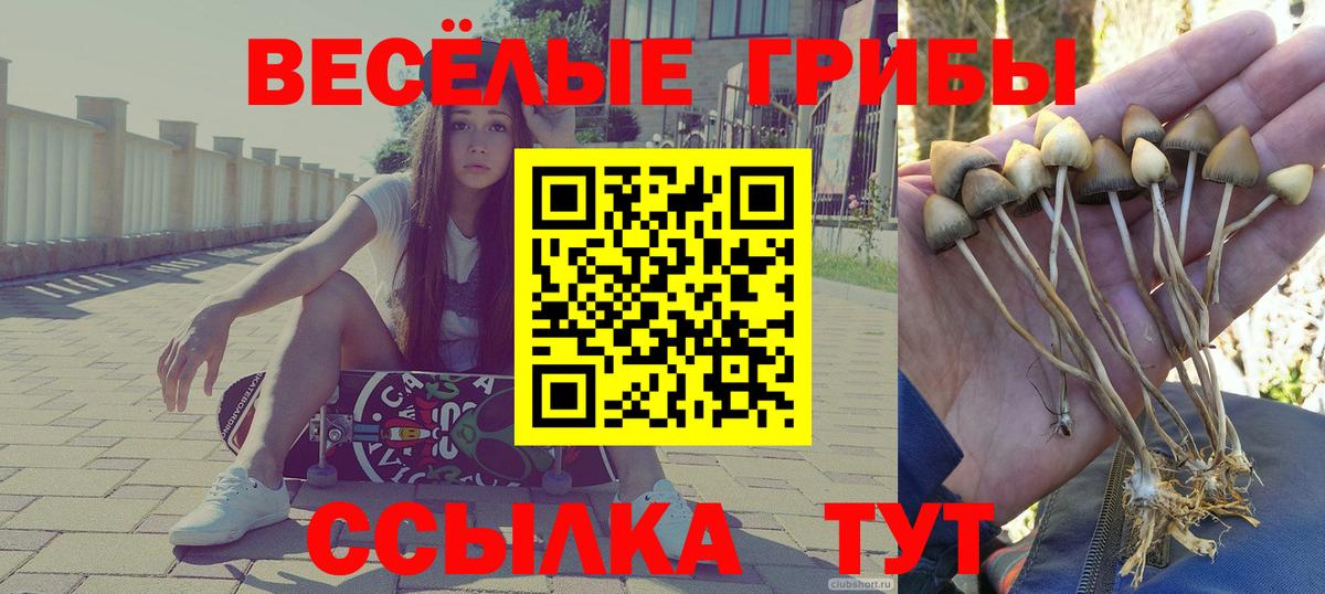 Лсд 25  Вход с VPN  Красноярск  Cocaine  Экстази  Codein  Мефедрон кристаллы  ГАШ  Канабис 