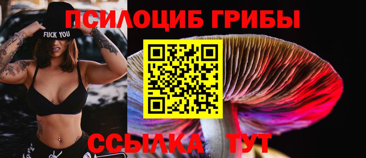 Галлюциногенные грибы Cubensis  Вход с VPN  Красноярск 